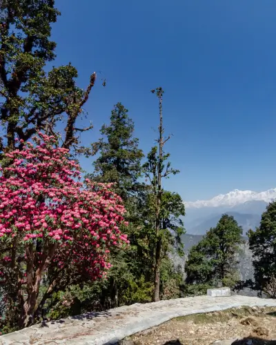 chopta tour