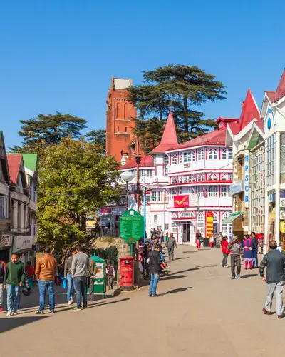 shimla manali tour