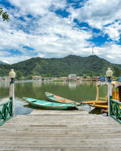 kashmir